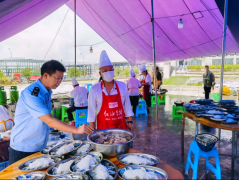  <strong>沉庆沙坪坝强化农</strong>