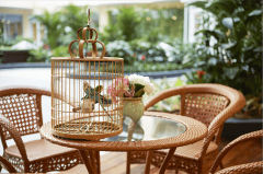  高端适合活力养老